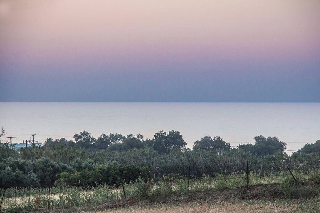 Villa Manoutsio Επισκοπή Χανίων Εξωτερικό φωτογραφία